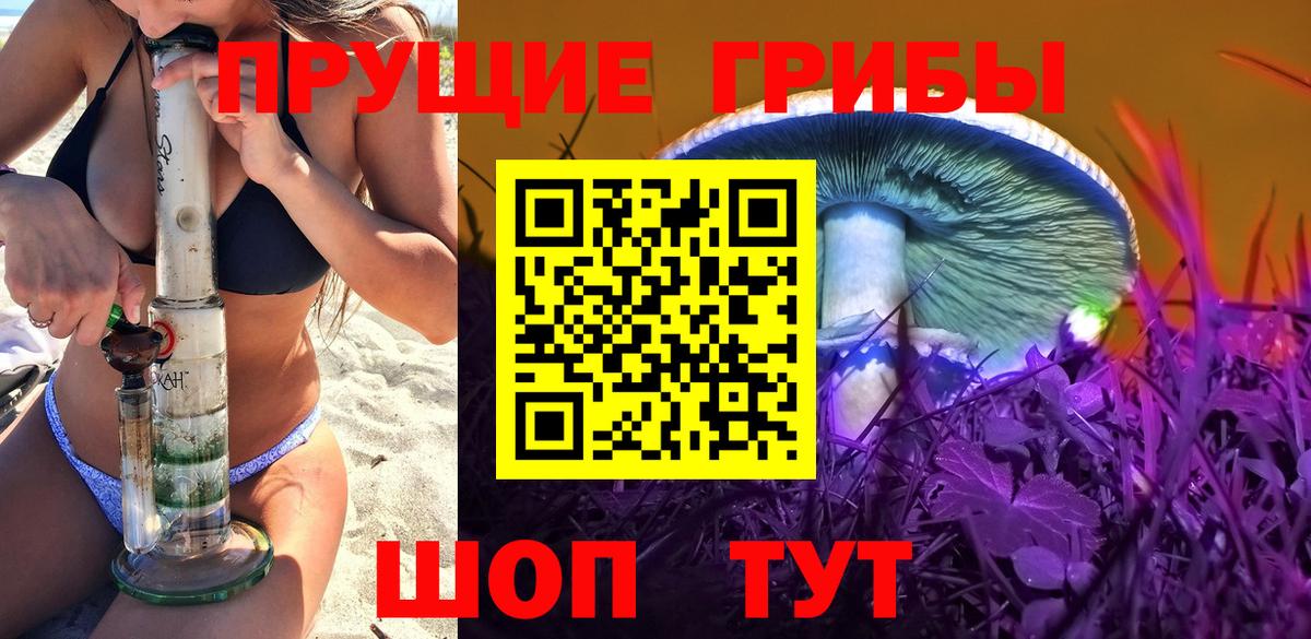 Псилоцибиновые грибы Psilocybine cubensis Набережные Челны